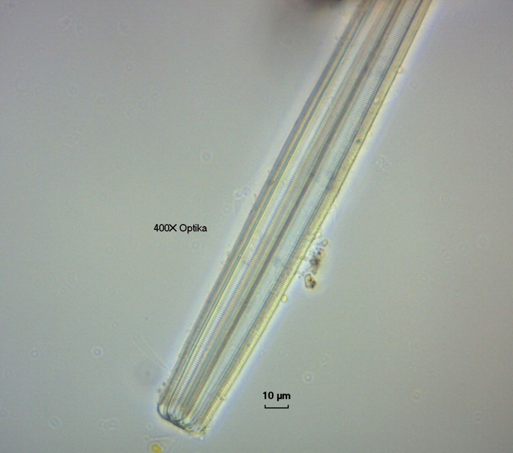 Se poteste dare un giudizio.